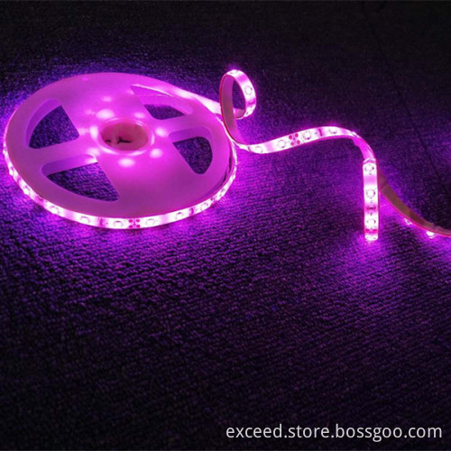 LED Double Body Sensor Bed Light